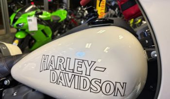 497179803_1341430233802191_1949590205589013959_n