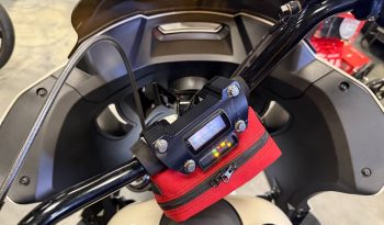 497367641_4010952265826350_8368933401757289447_n