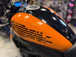 2019 KAWASAKI VULCAN S CAFE