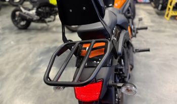 517787616_1301377928018326_6829392284155425198_n