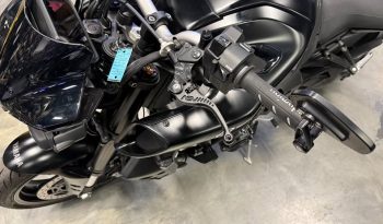 532066960_1271048834429692_4284462259762109952_n