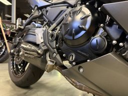 2022 Kawasaki Ninja 650