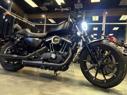 2021 HARLEY-DAVIDSON SPORTSTER IRON 883