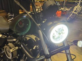 2021 HARLEY-DAVIDSON SPORTSTER IRON 883