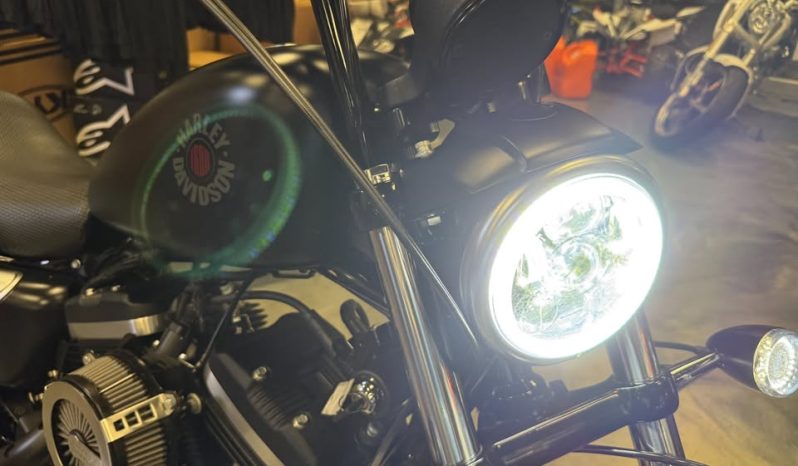 2021 HARLEY-DAVIDSON SPORTSTER IRON 883