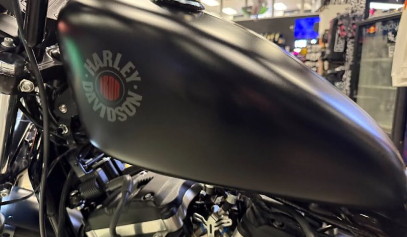 2021 HARLEY-DAVIDSON SPORTSTER IRON 883