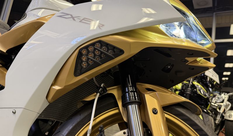 2025 Kawasaki Ninja ZX6R